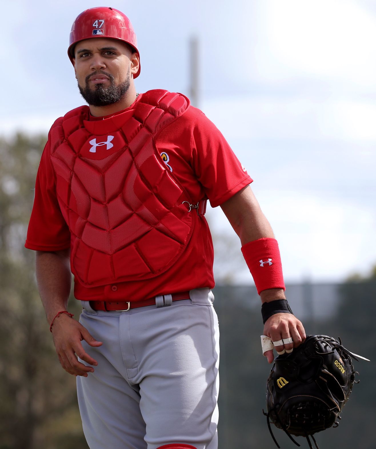 Cardinals spring training continues